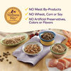 Complete Health Grain Free Indoor Health Salmon & Herring Meal Recipe thumbnail number 7
