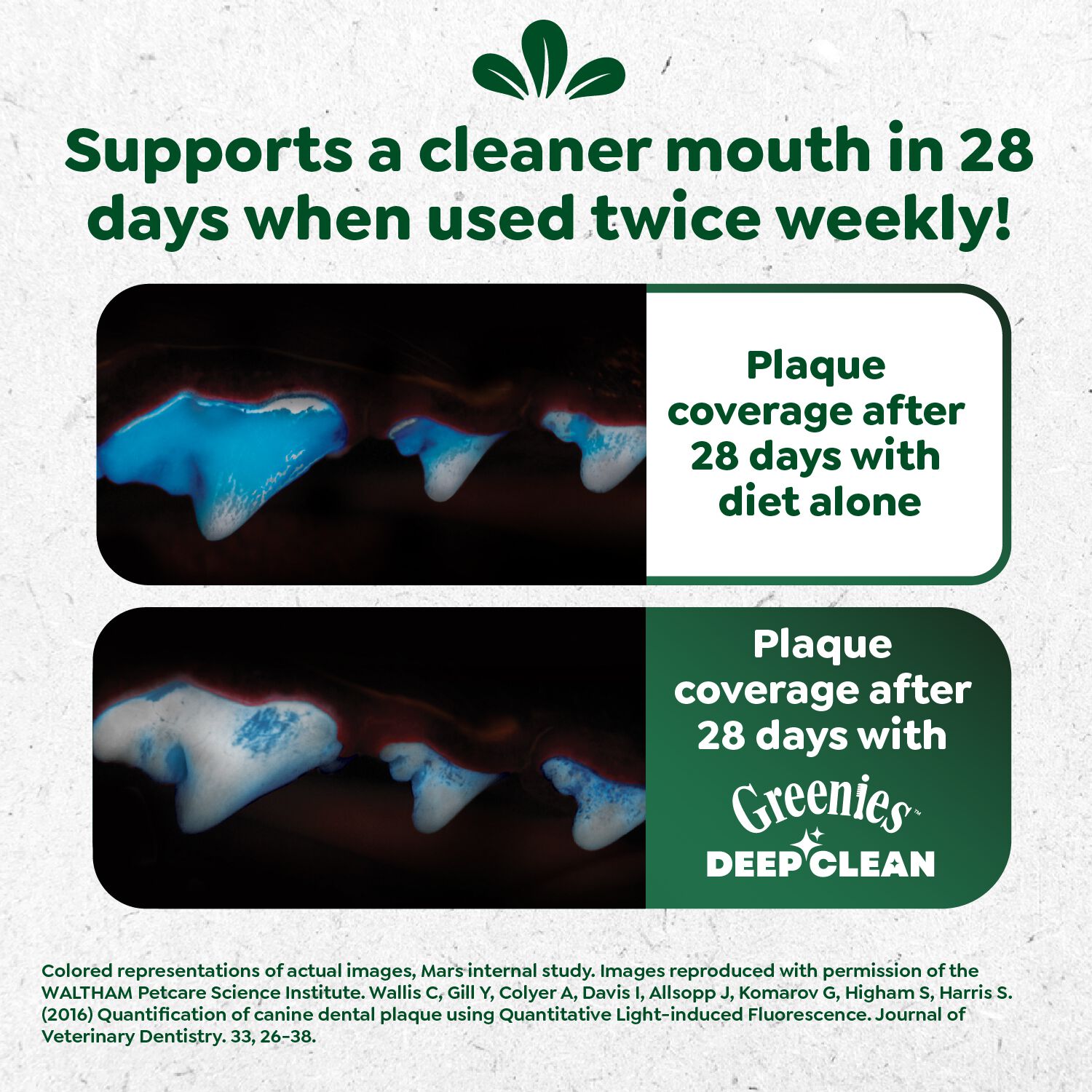 Greenies Deep Clean Original Flavor Regular Size Dental Dog Treats, 5.64 Oz, 2 Count
