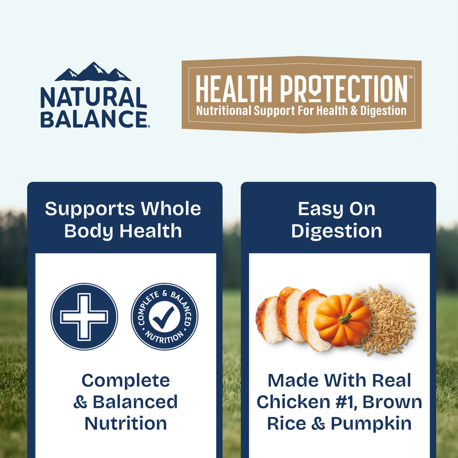 Natural Balance Health Protection Wet Dog Food, Chicken, Pumpkin & Brown Rice Stew, 12.5 Oz.
