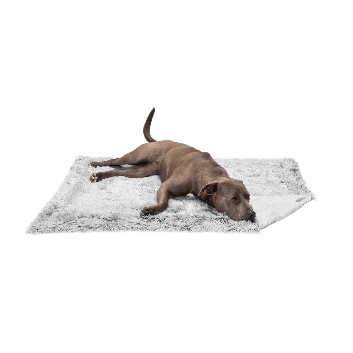 Furhaven Luxury Calming Plush Long Fur & Velvet Waterproof Dog Throw Blanket - Mist Gray, 50"X35"
