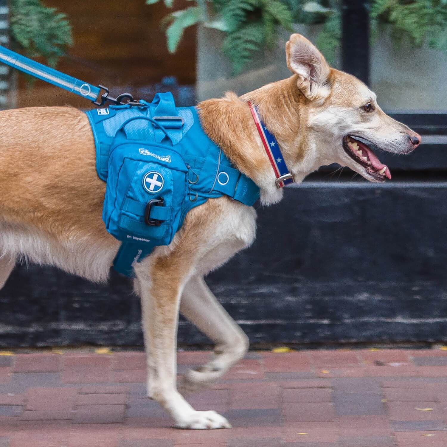Kurgo Pet First Aid Kit, Dog First Aid Molle Harness Attachment, Detachable Pouch For Molle Dog Harness