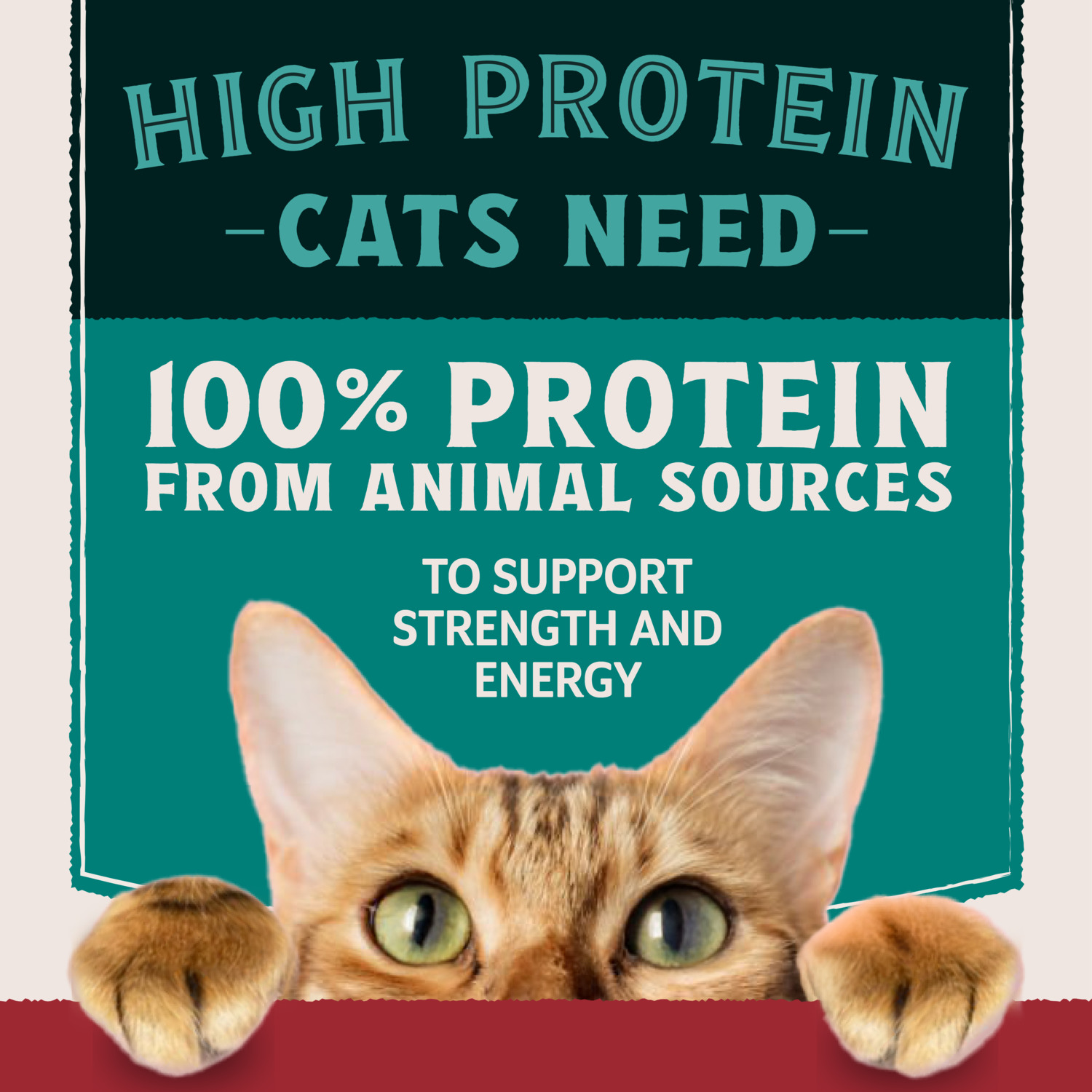 Natural Balance Ultra Protein Wet Cat Food, Chicken Recipe With Quail Egg In Broth, 2.8 Oz.