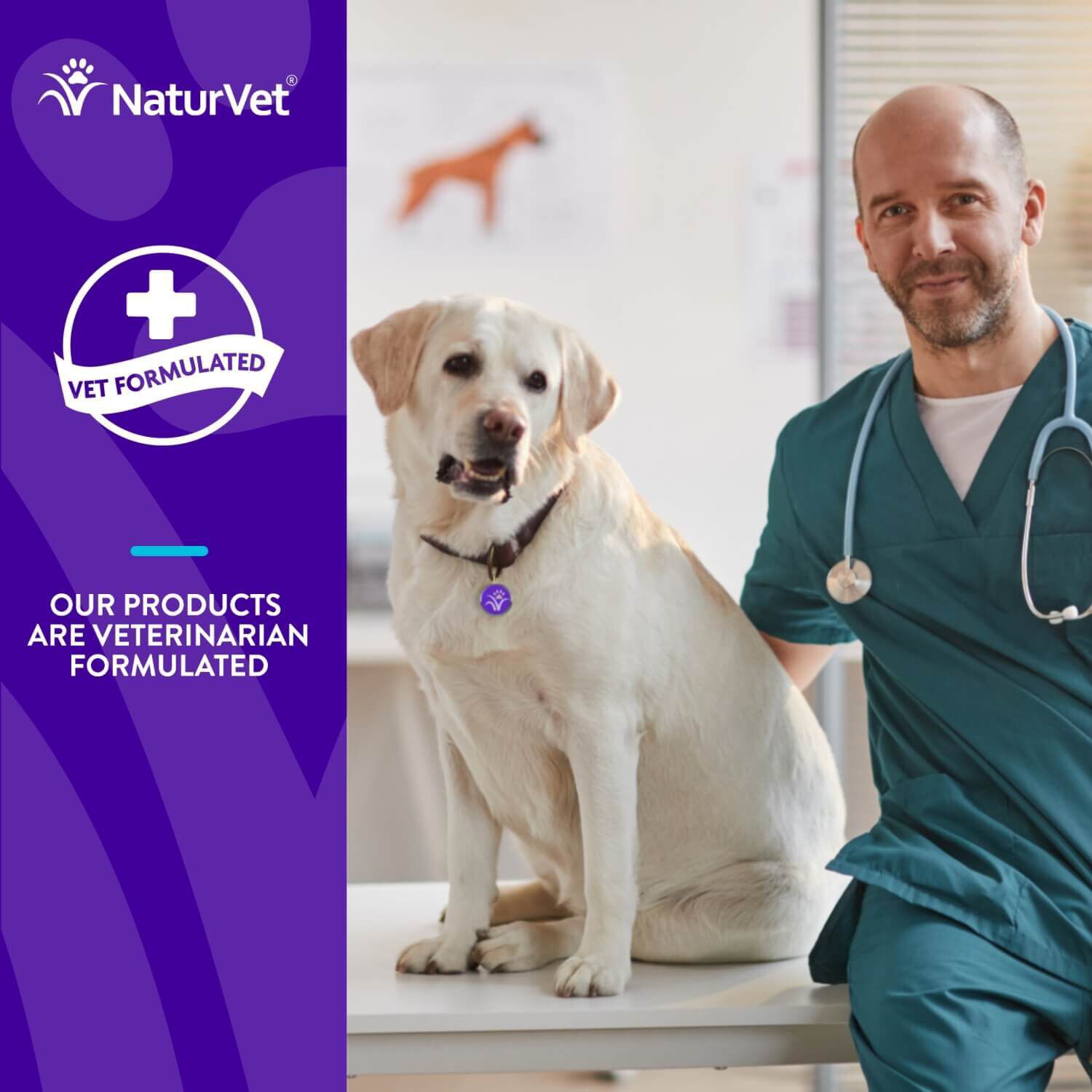 Naturvet Evolutions Advanced Calming Support Soft Chew Supplements For Dogs
