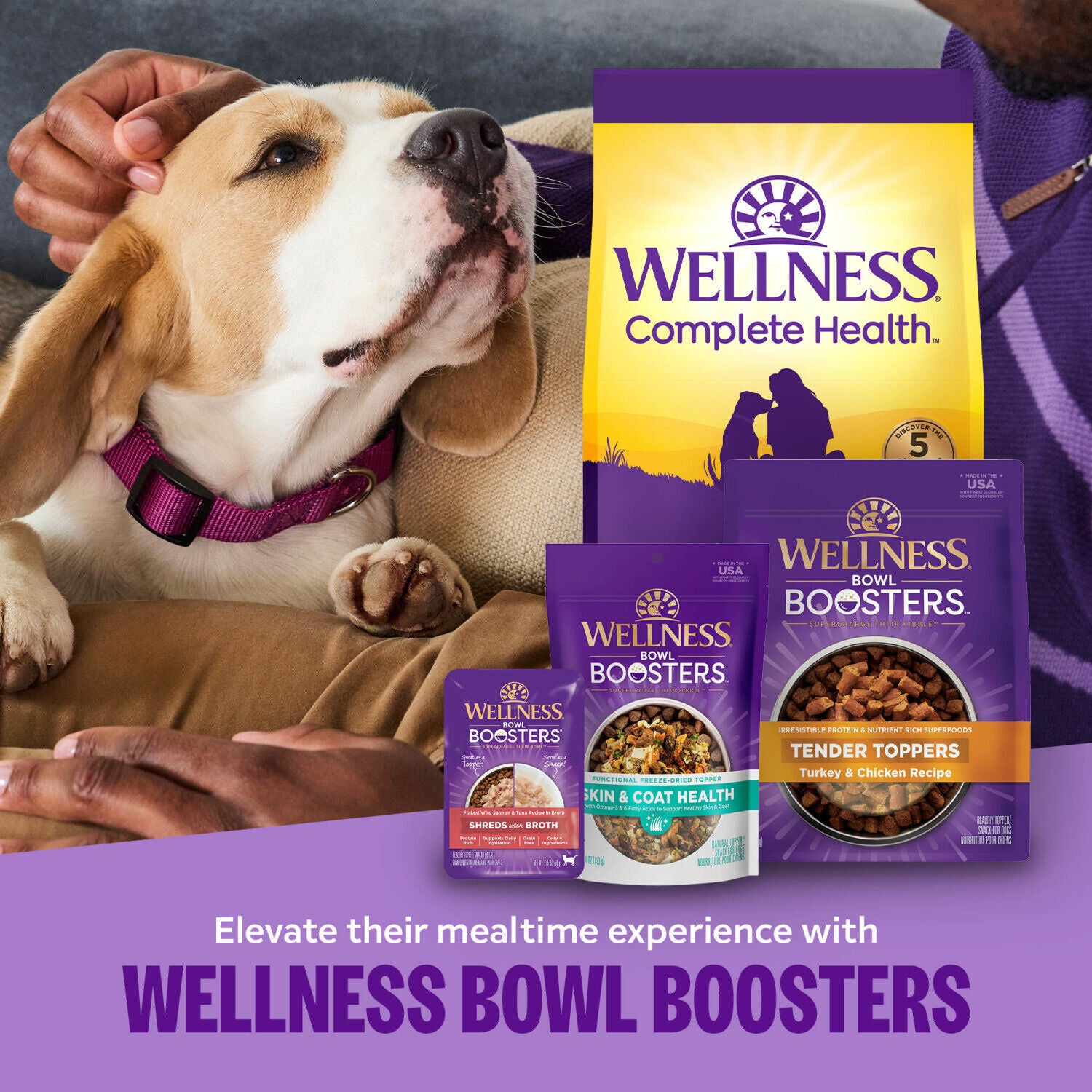 Wellness Complete Health Dry Dog Food, Wholesome Grains, Natural, Chicken & Oatmeal Recipe, 5-Pound Bag