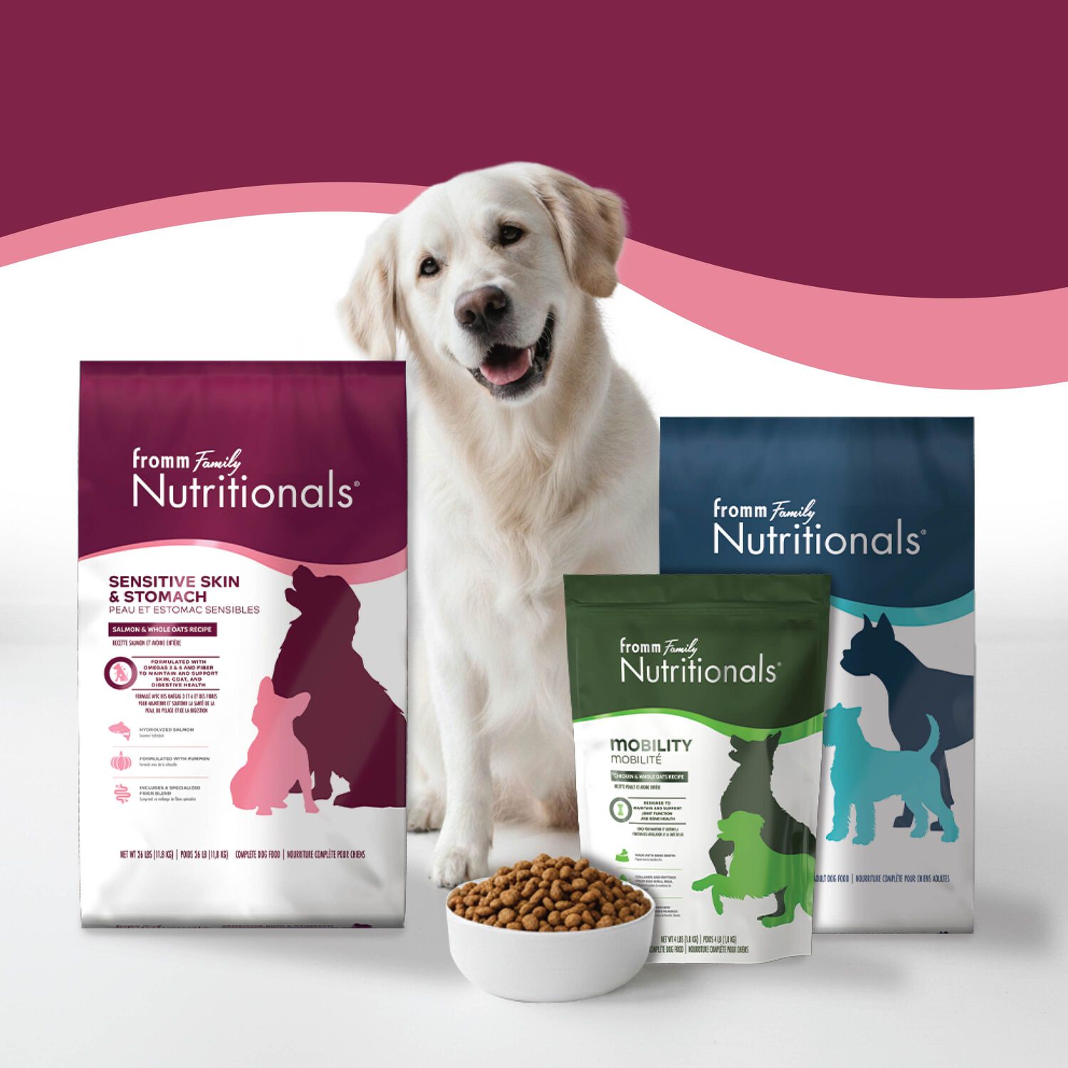 Fromm Nutritionals Sensitive Skin & Stomach Salmon & Whole Oats Dry Dog Food, 4-Lb Bag