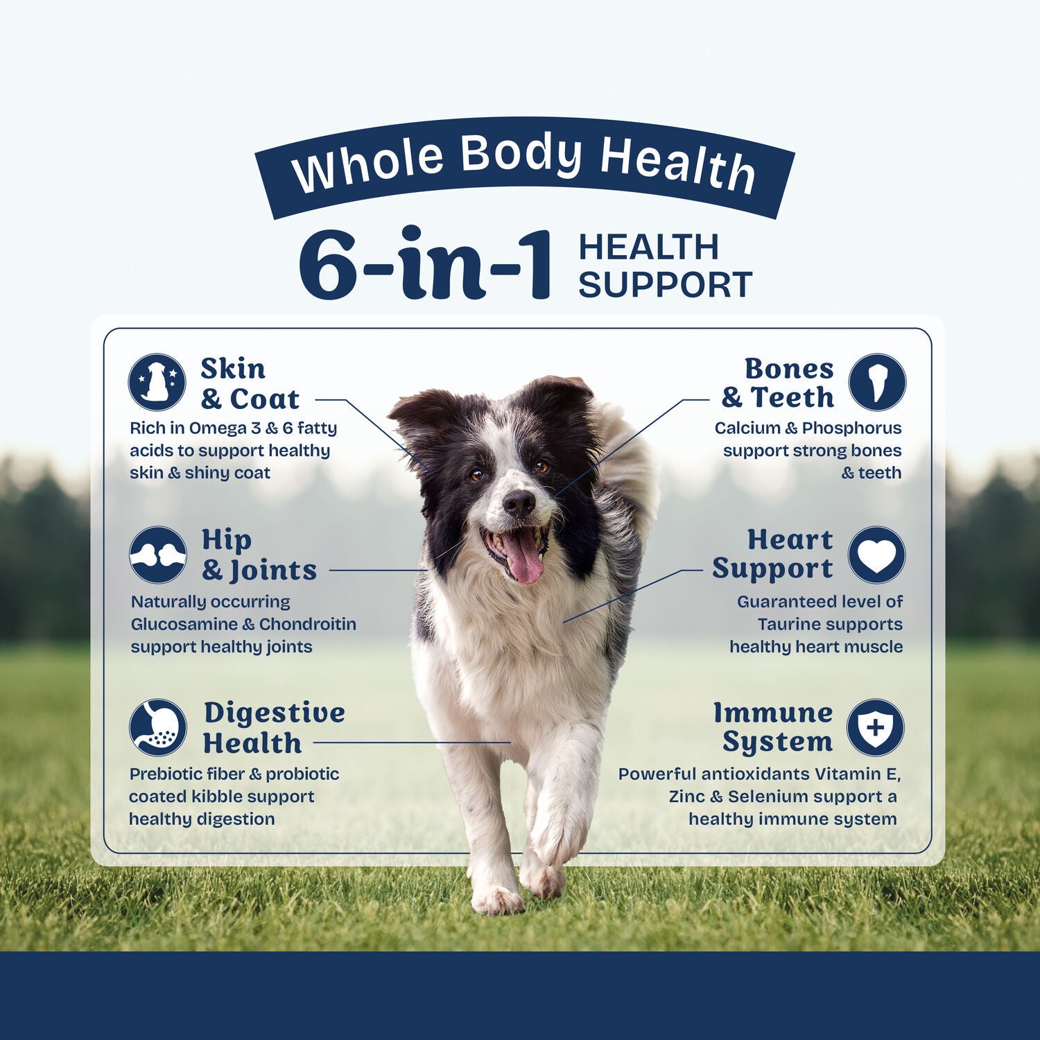 Natural Balance Health Protection Dry Dog Food, Chicken, Brown Rice & Pumpkin Recipe, 24-Lbs.