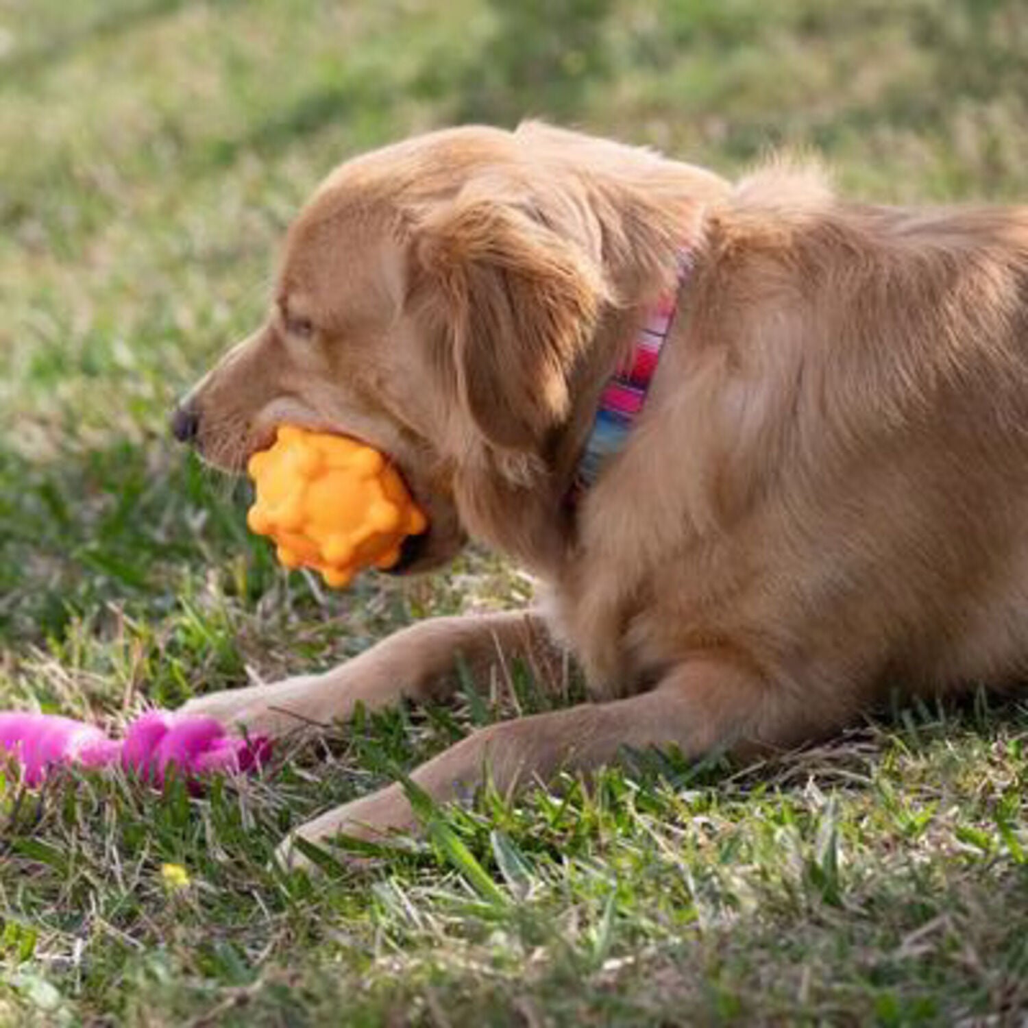 Chews Hues Yellow Squeaker Pentagon Ball Dog Toy For Medium To Large Sized Dogs