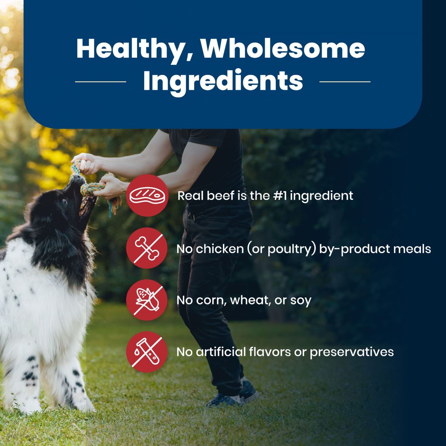 Blue Buffalo Life Protection Formula Beef And Brown Rice Adult Dry Dog Food, 5-Lb