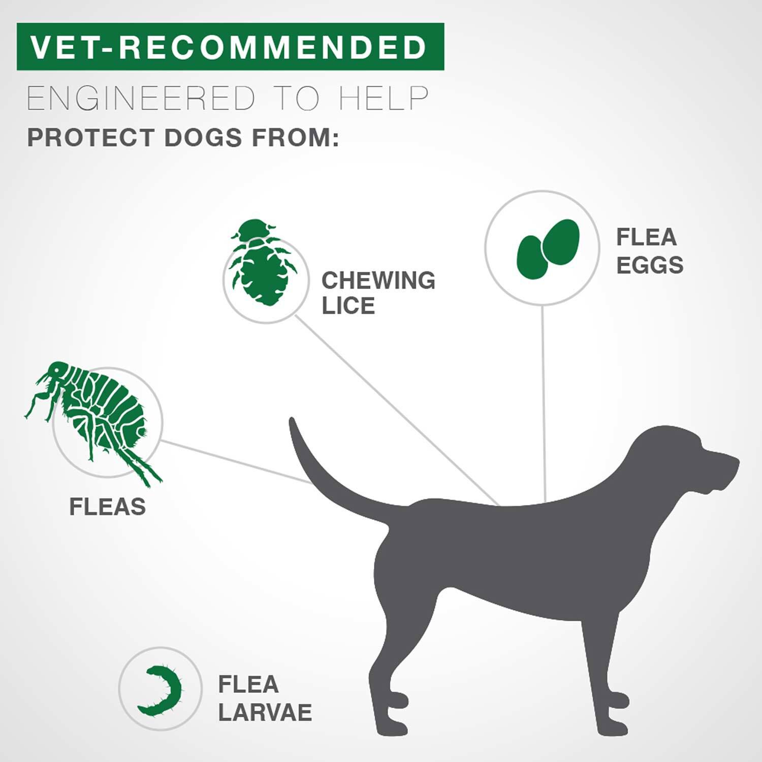 Advantage Ii Flea Treatment For Small Dogs, 3-10-Lbs, 6-Pack = 6 Months Of Protection