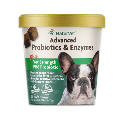 Natur Vet Advanced Probiotics And Enzymes Supplement, Plus Vet Strength Pb6 Probiotic For Dogs