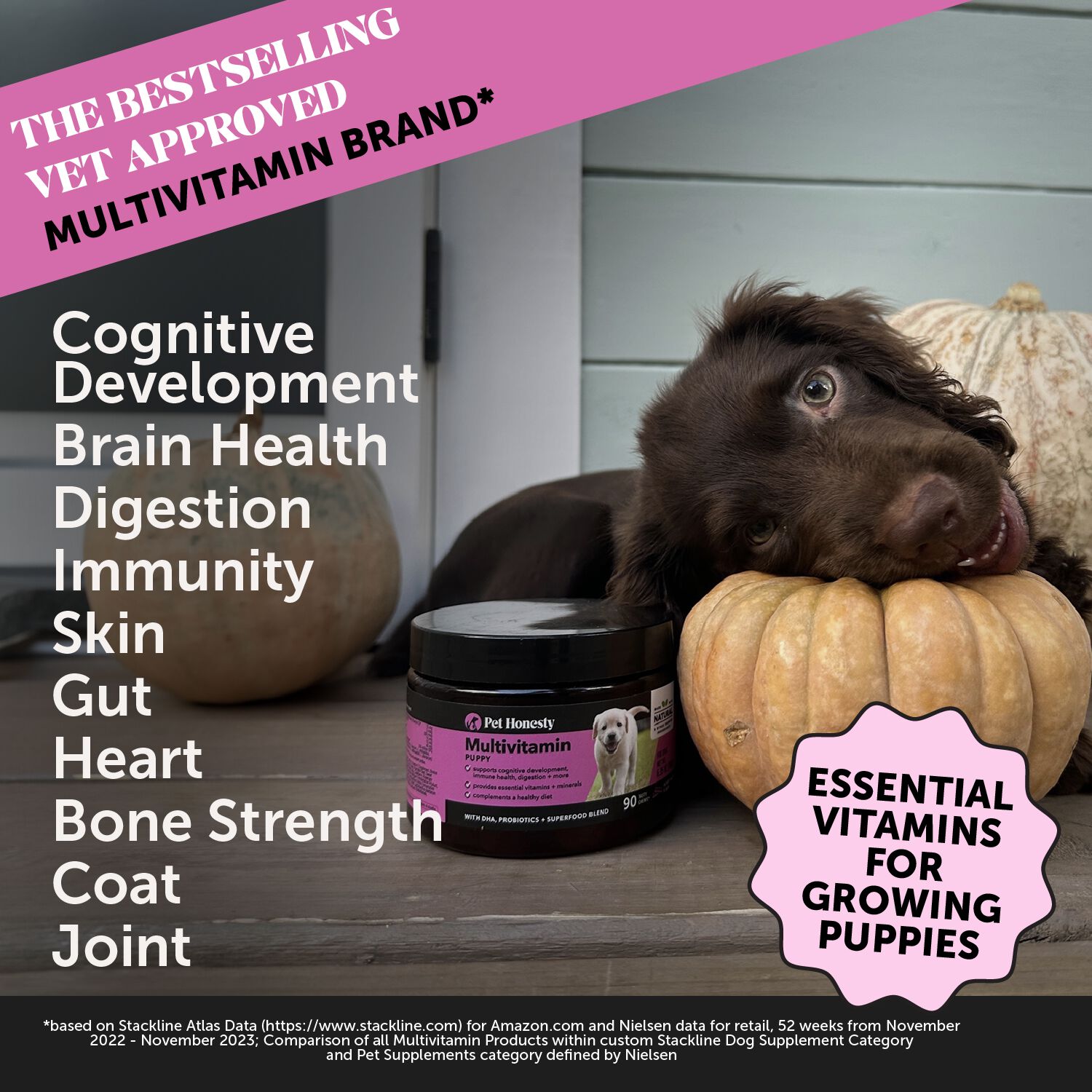 Pet Honesty Puppy Multivitamin Dog Supplement Chews, Bacon Flavor, 90-Count