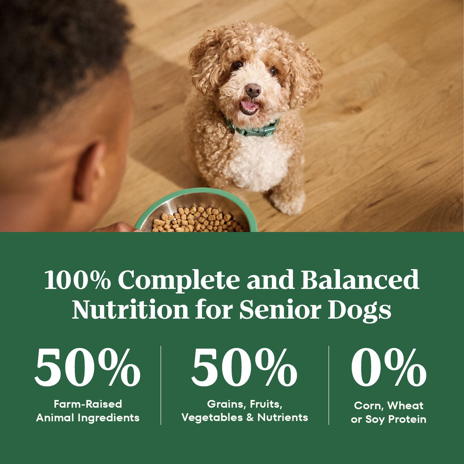 Nutro Natural Choice Small Breed Senior Chicken, Whole Brown Rice & Sweet Potato Recipe Dog Food, 5-Lb