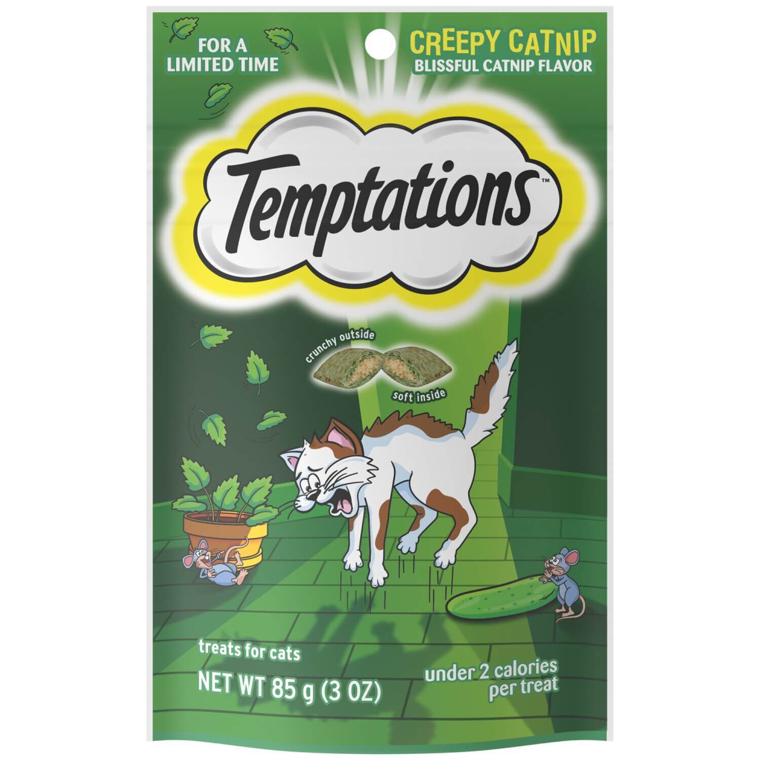 Temptations cat treats catnip discount