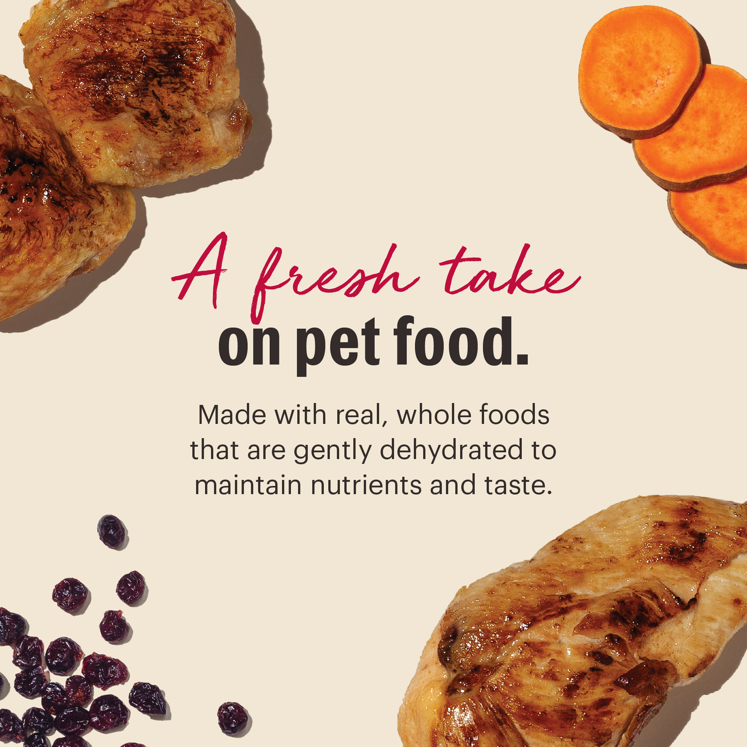 The Honest Kitchen Wholemade Grain Free Chicken Recipe Dehydrated Cat Food, 4-Lb Bag
