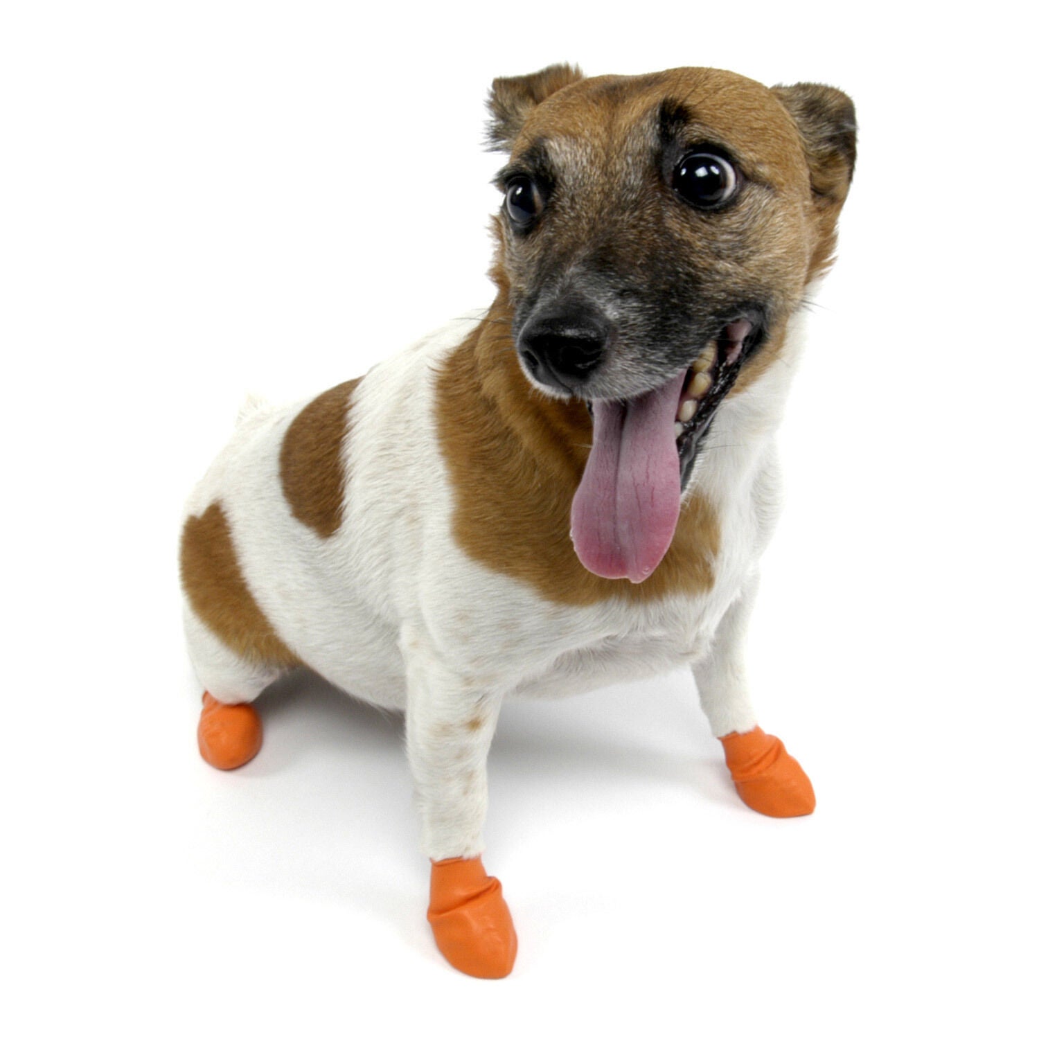 Pawz Natural Rubber Waterproof Dog Boots, Small, Red
