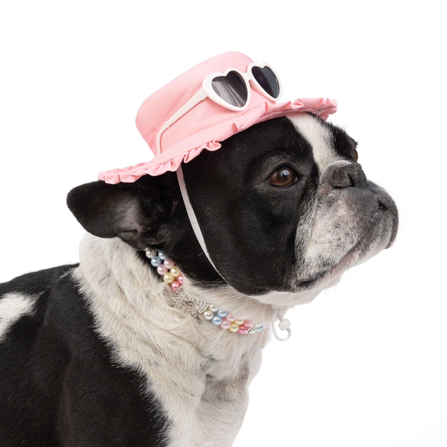 Simply Dog Pink Heart Sunglasses Ruffle Brim Dog Hat, Medium/Large