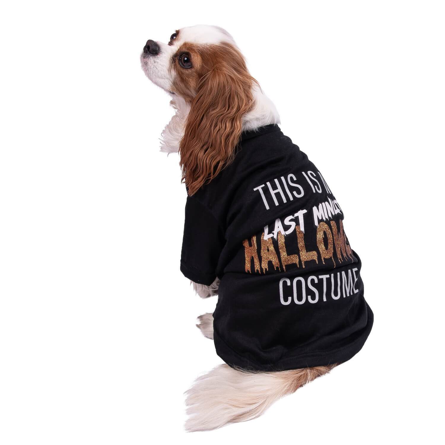 Lexington Road This Is My Halloween Costume Dog T-Shirt