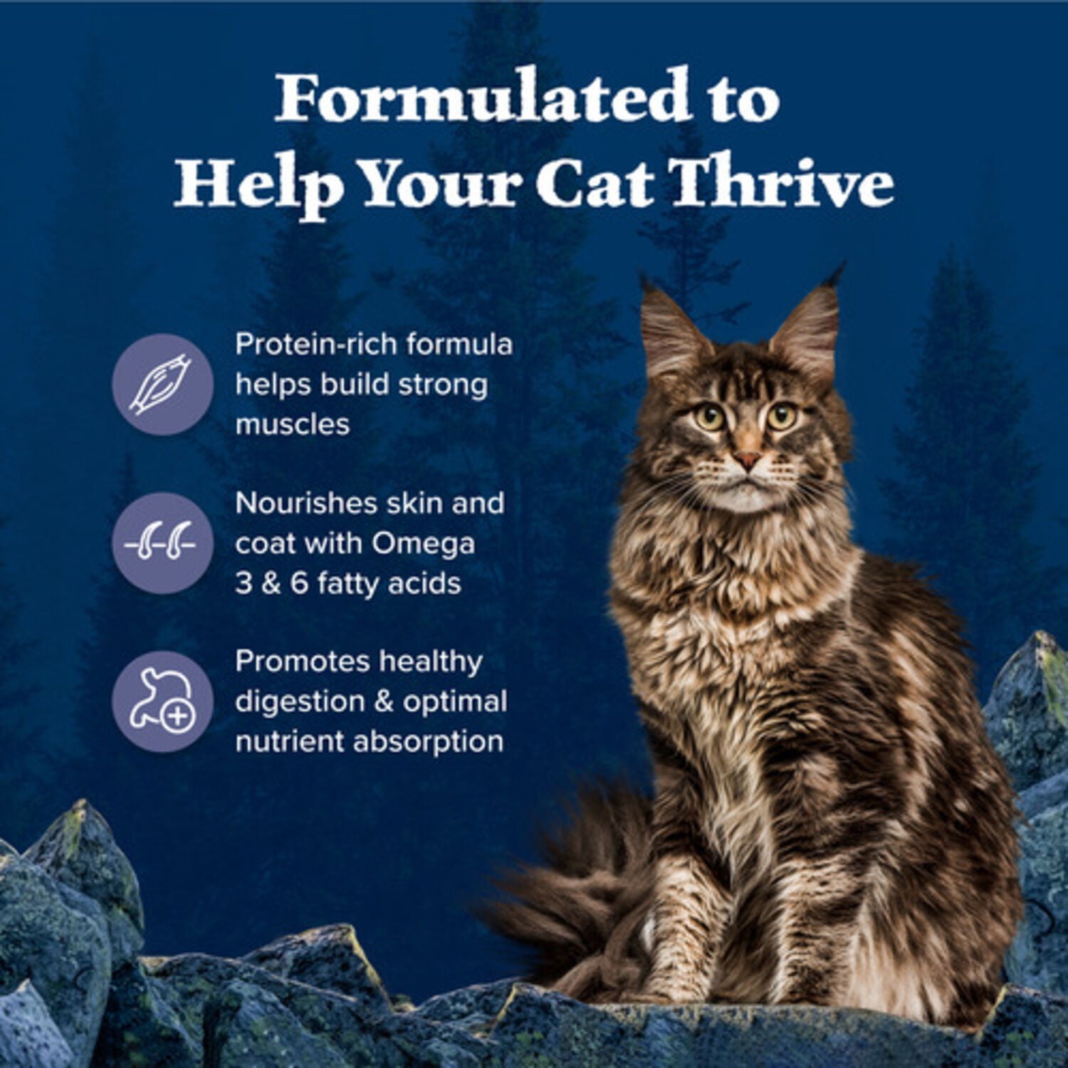 Blue Buffalo Wilderness Adult Dry Cat Food, Chicken Recipe, 6-Lb Bag