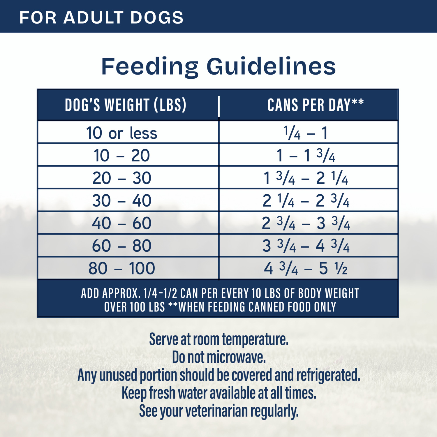 Natural Balance Health Protection Wet Dog Food, Salmon Broth, Salmon, Pumpkin & Brown Rice Stew, 12.5-Oz Can