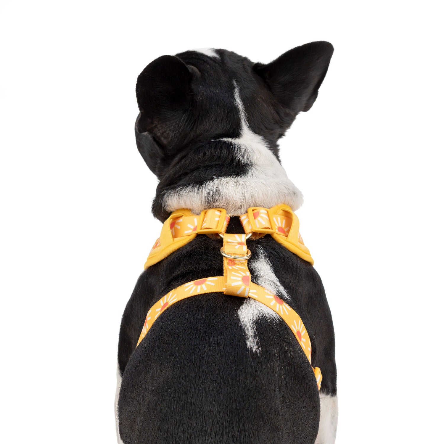 Simply Dog Sunshine Dog Harness, Orange