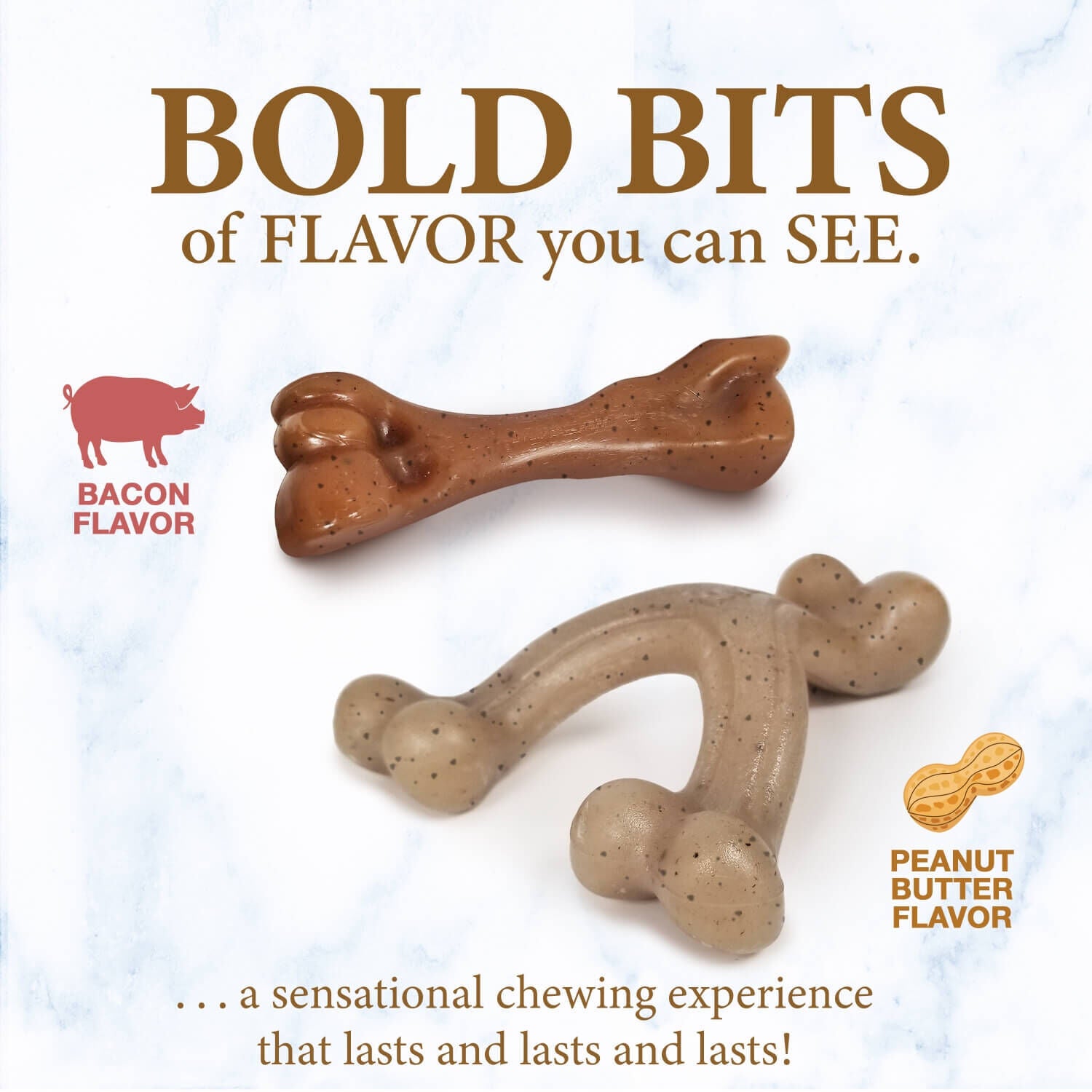 Nylabone Puppy Gourmet Style Strong Dog Chew Toy - Bacon, Peanut Butter Flavor