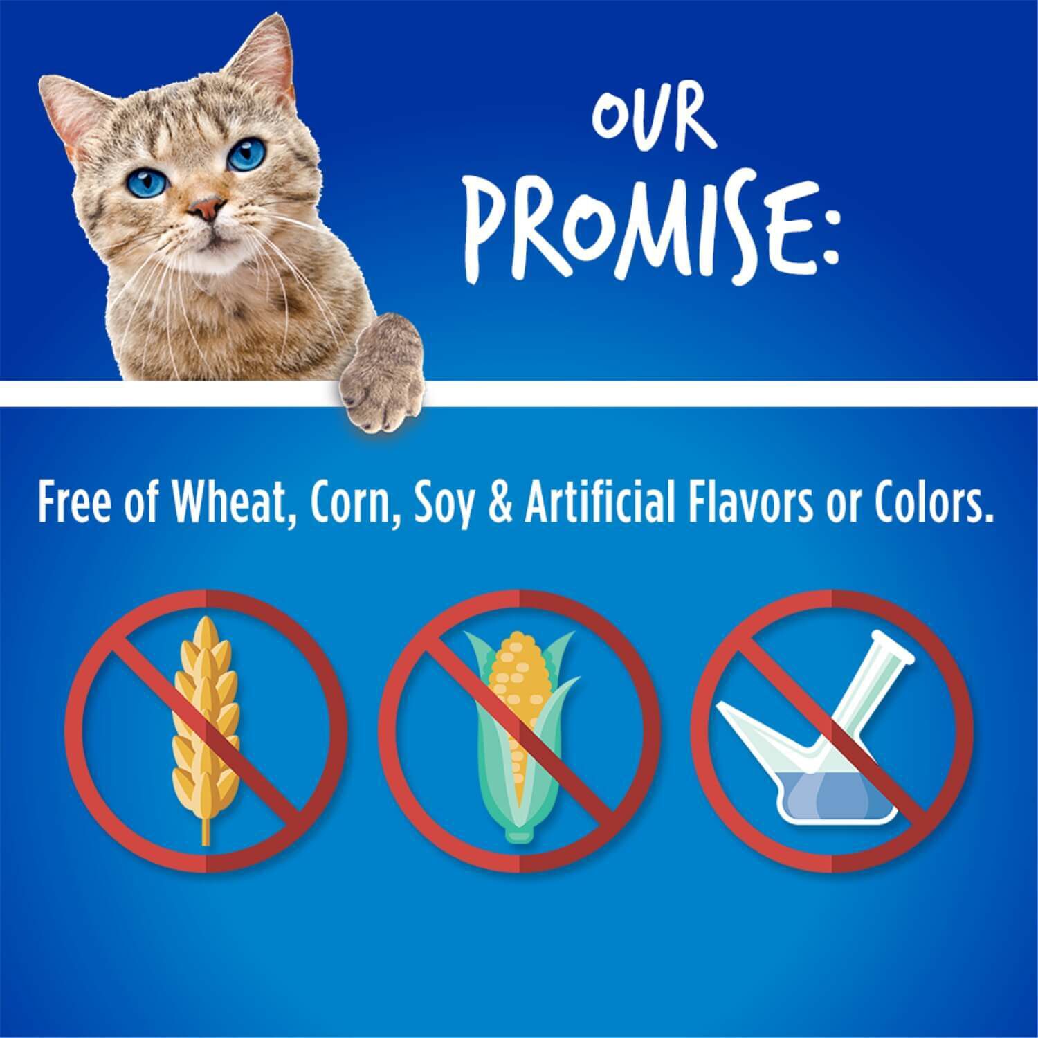 Fruitables Crunchy Chicken & Blueberry Cat Treats