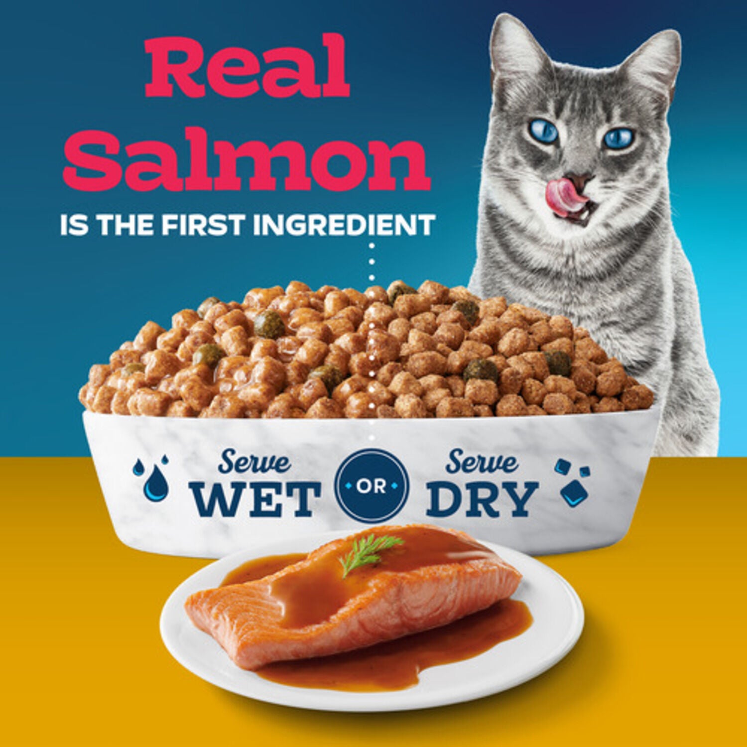 Blue Buffalo Tastefuls Irresistible Gravy Experience Salmon & Brown Rice Recipe Dry Cat Food, 7-Lb Bag