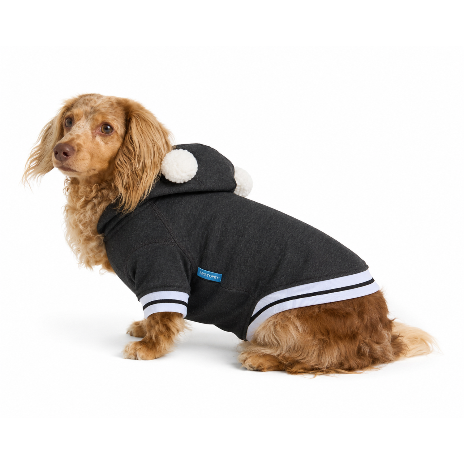 Aristopet Light Pullover Dog Hoodie With Ears On Hood, Extra Large