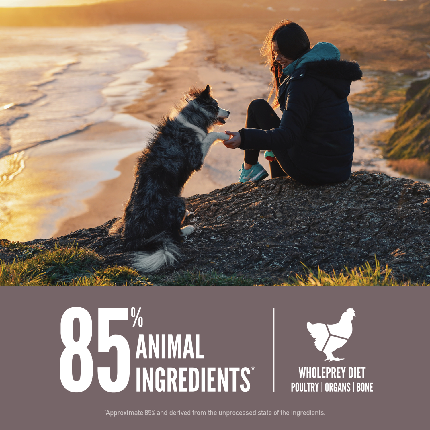 Orijen Fit & Trim Grain-Free High-Protein Dry Dog Food, 23.5-Lb Bag