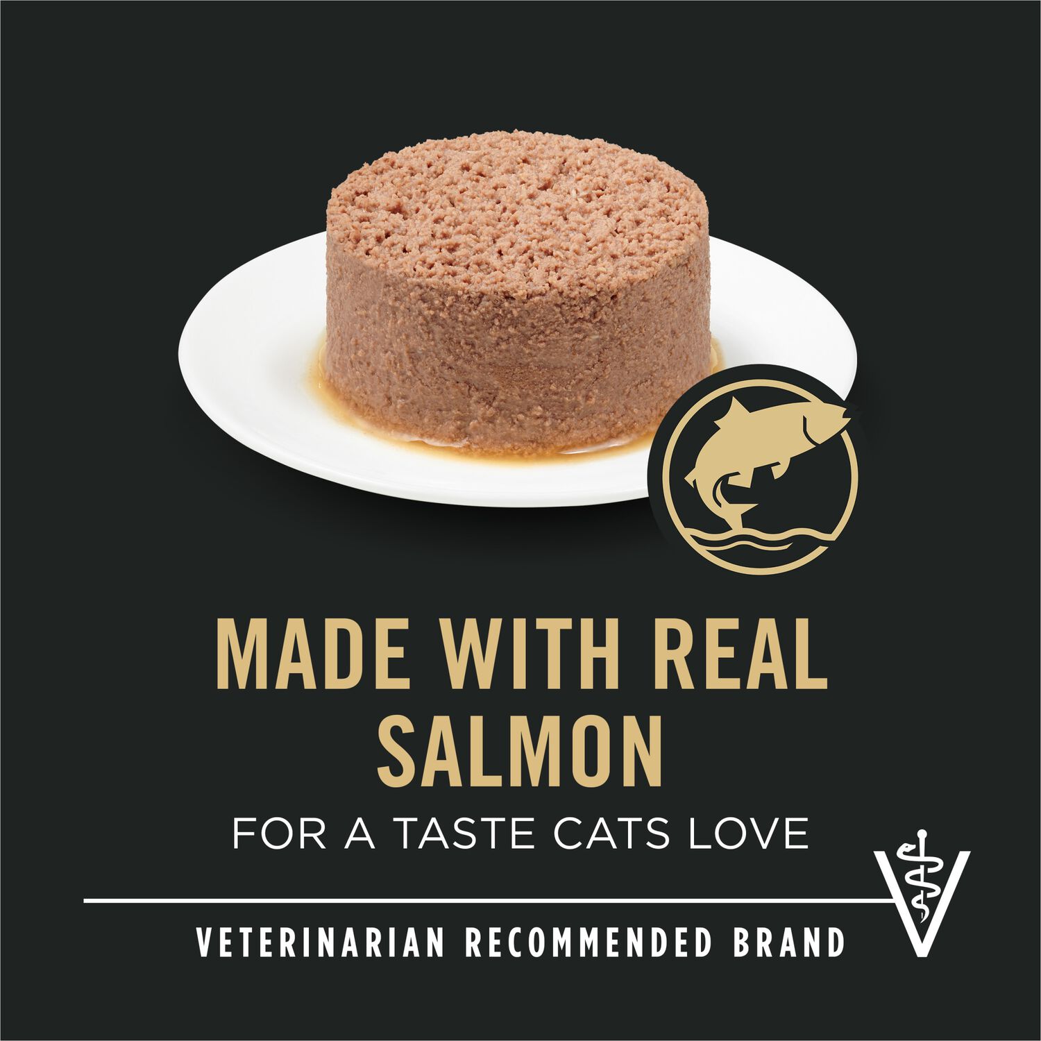Purina Pro Plan Urinary Tract Health Salmon Classic Pate Wet Cat Food Pate, 5.5 Oz.