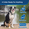 Pet Safe® 100 Yard Remote Dog Trainer