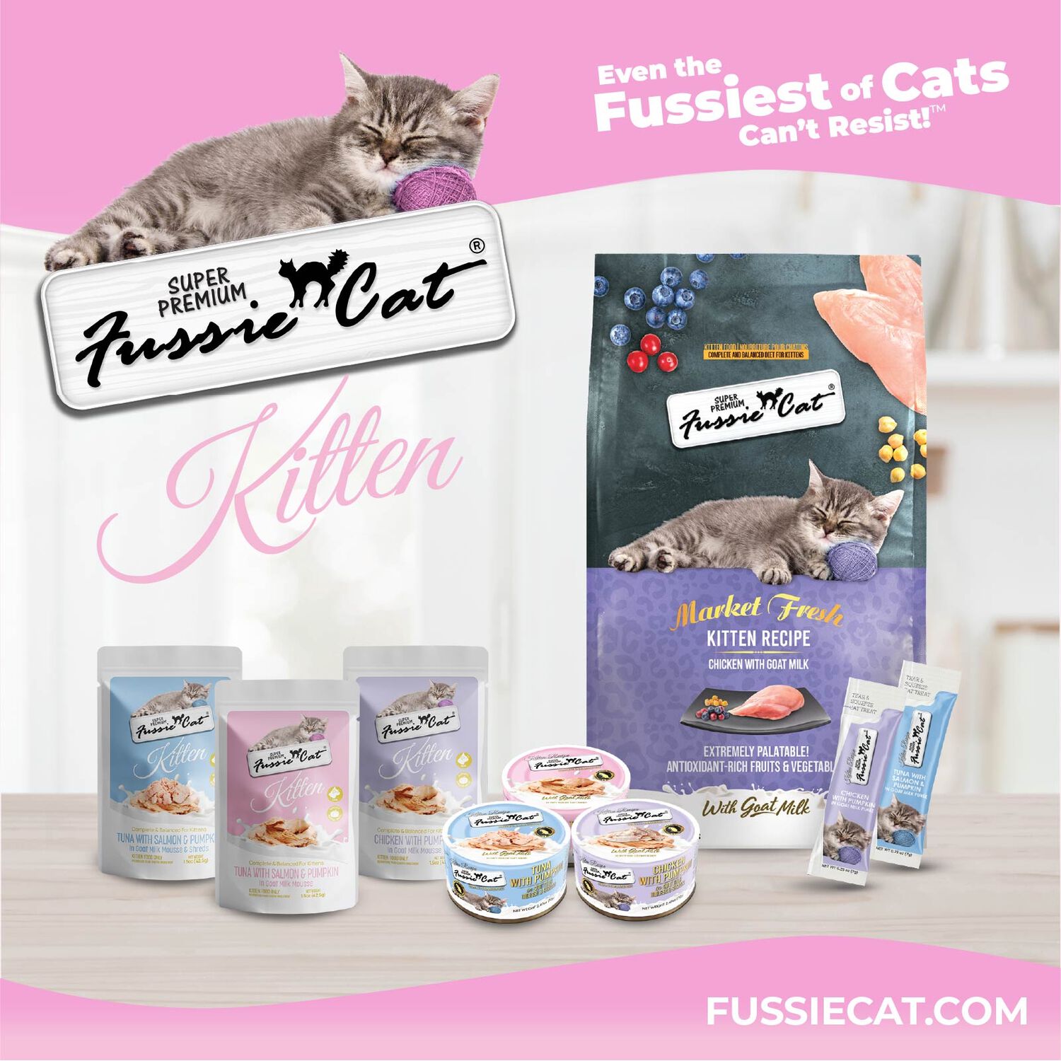 Fussie Cat Super Premium Tuna & Chicken With Pumpkin In Goat Milk Mouse Wet Cat Food For Kittens, 2.47-Oz - 12 Pack