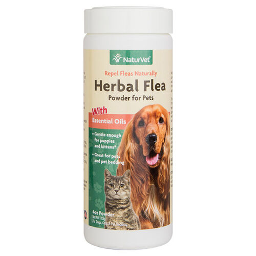 Herbal Flea Powder With Essential Oils