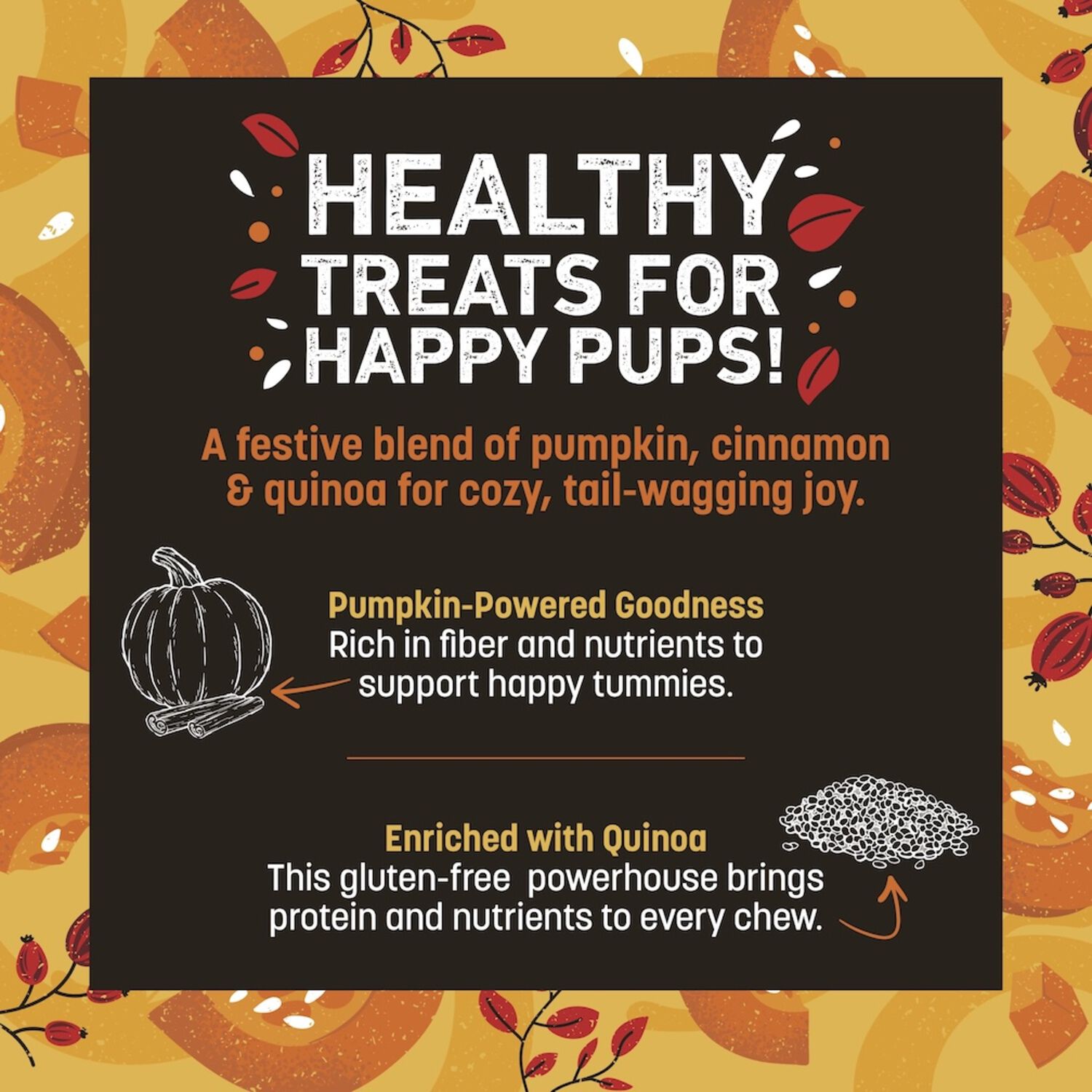 Earth Animal Wisdom Air-Dried Premium Natural Jerky Strips Dog Treats, Seasonal Pumpkin Spice Recipe - 4-Oz