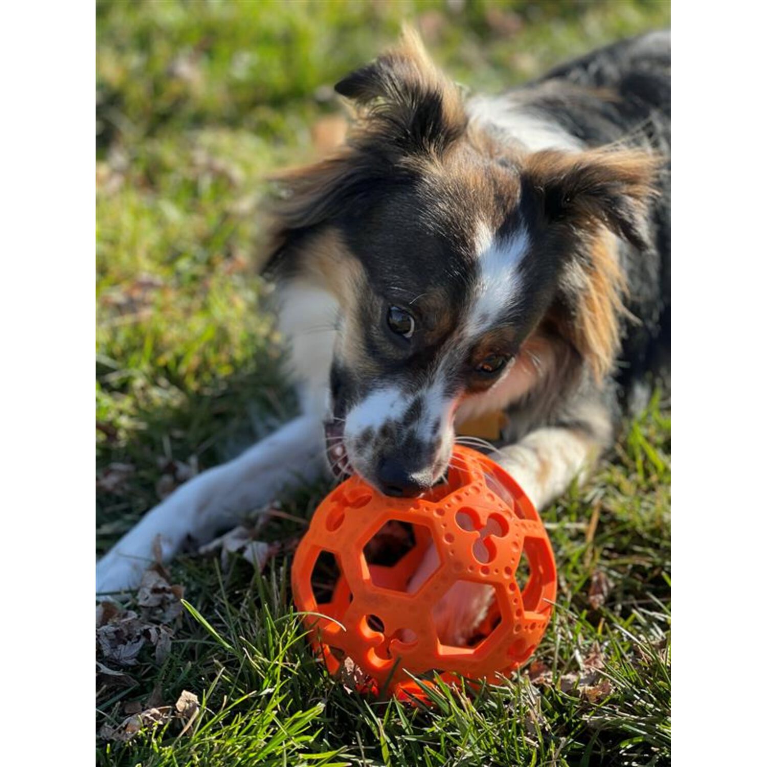 Tall Tails Goat Sport Flex-A-Ball Dog Toy, 5.5-Inch