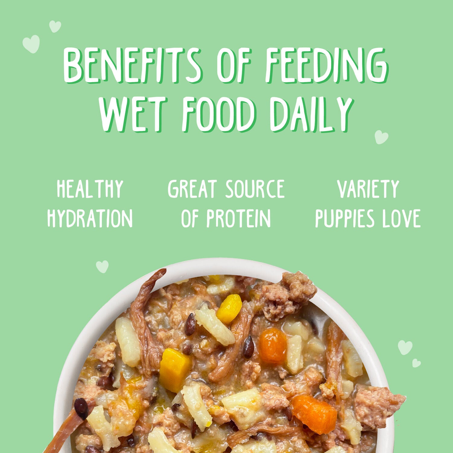 Weruva Puppy Beef & Rice In Gravy Wet Dog Food, 6-Oz