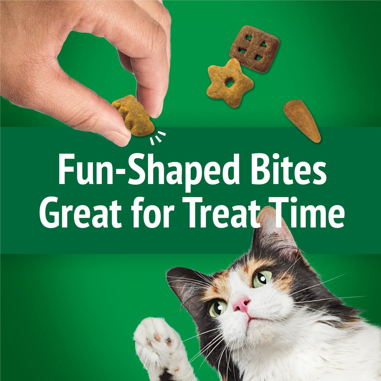 Purina Friskies Party Mix Picnic Crunch Flavor Crunchy Cat Treats, 6-Oz.