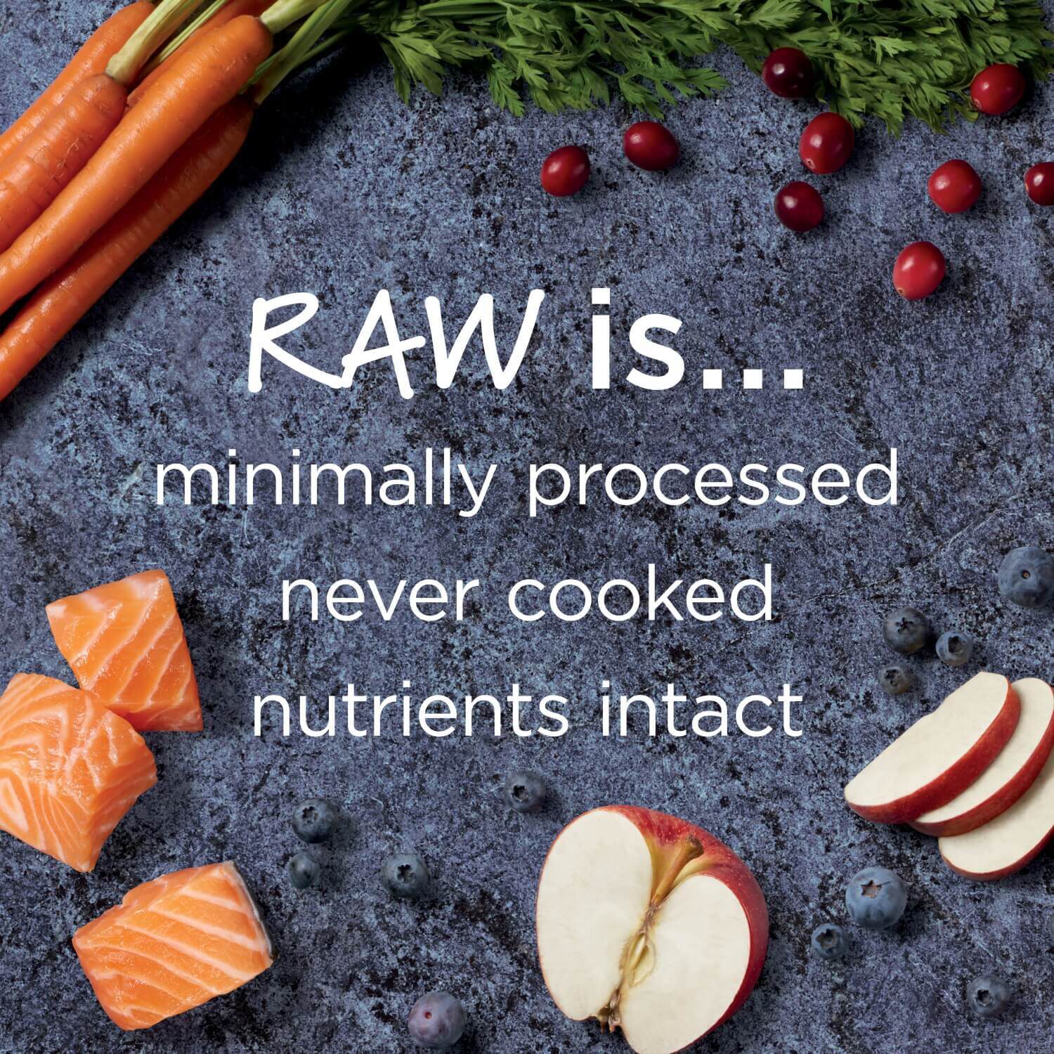 Instinct Raw Boost Grain-Free Recipe With Real Salmon Dry Dog Food, 3.5-Lb