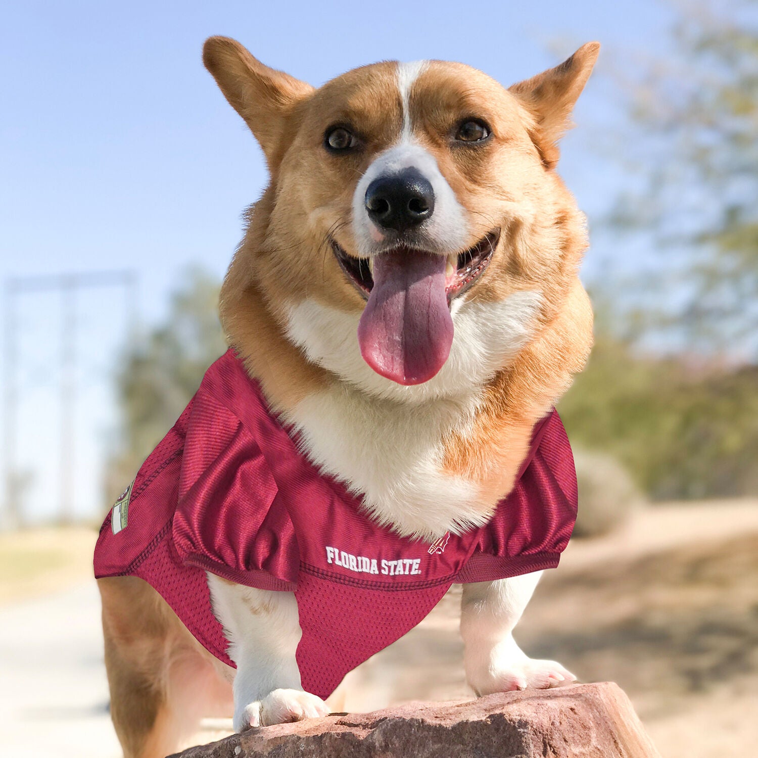 Pets First Florida State University Seminoles Mesh Dog Jersey, Extra Large