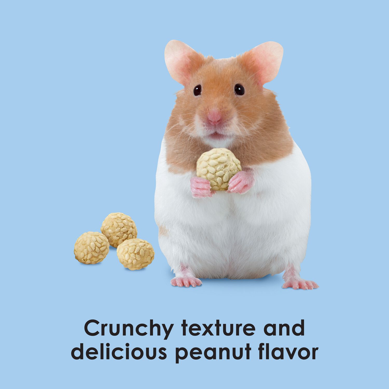 Kaytee Krunch-A-Rounds Sesame Covered Peanut Small Animal Treats, 3-Oz