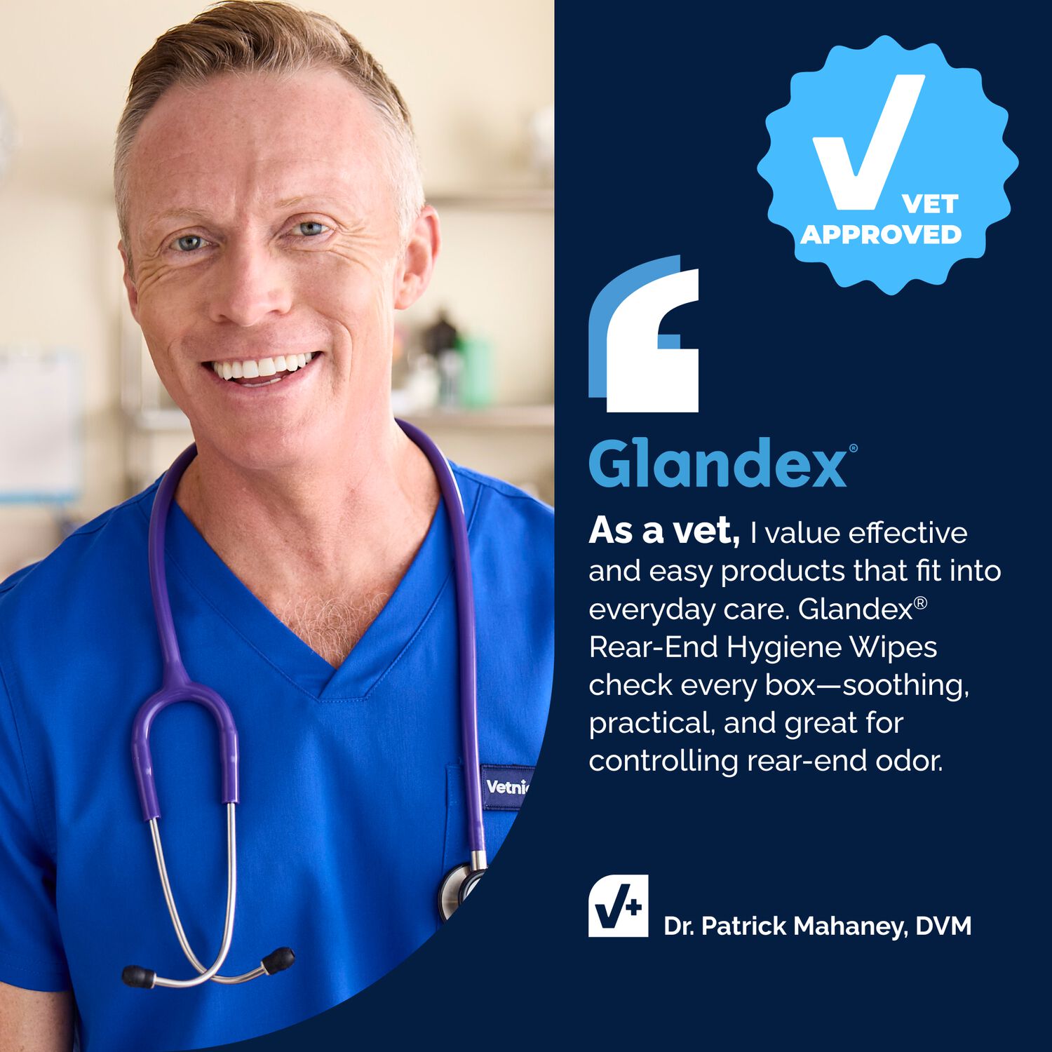 Vetnique Glandex Rear End Wipes For Dogs & Cats, Anal Gland Hygiene | Deodorizing Dog & Cat Wipes For Paws & Butt, Boot The Scoot With Deoplex Enzyme, Aloe & Vitamin E, Alcohol Free, 75-Ct