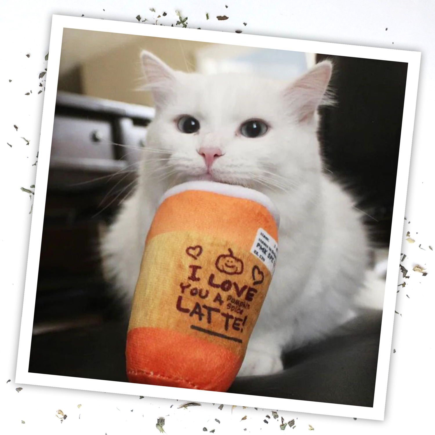Meowijuana Get Spooked Pumpkin Spice Latte Refillable Catnip Toy With Catnip