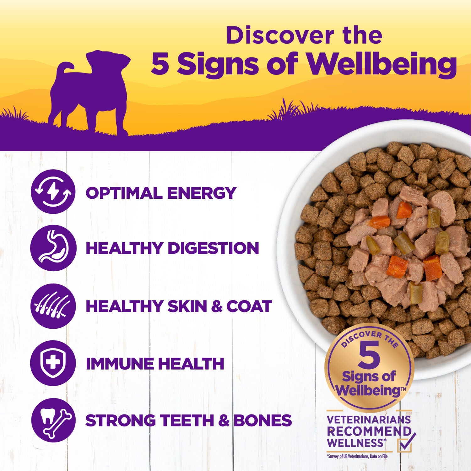 Wellness Petite Entr&eacute;es Mini-Filets Wet Dog Food With Roasted Chicken, Beef, Carrots & Green Beans In Gravy, 3-Ounce Cup