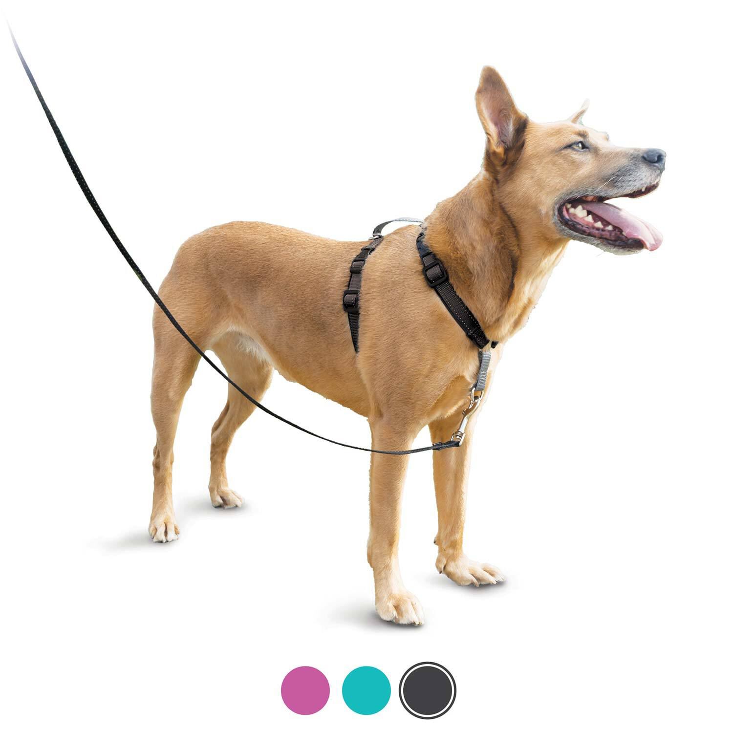 Petsafe 3 In 1 Dog Harness, Black, Large
