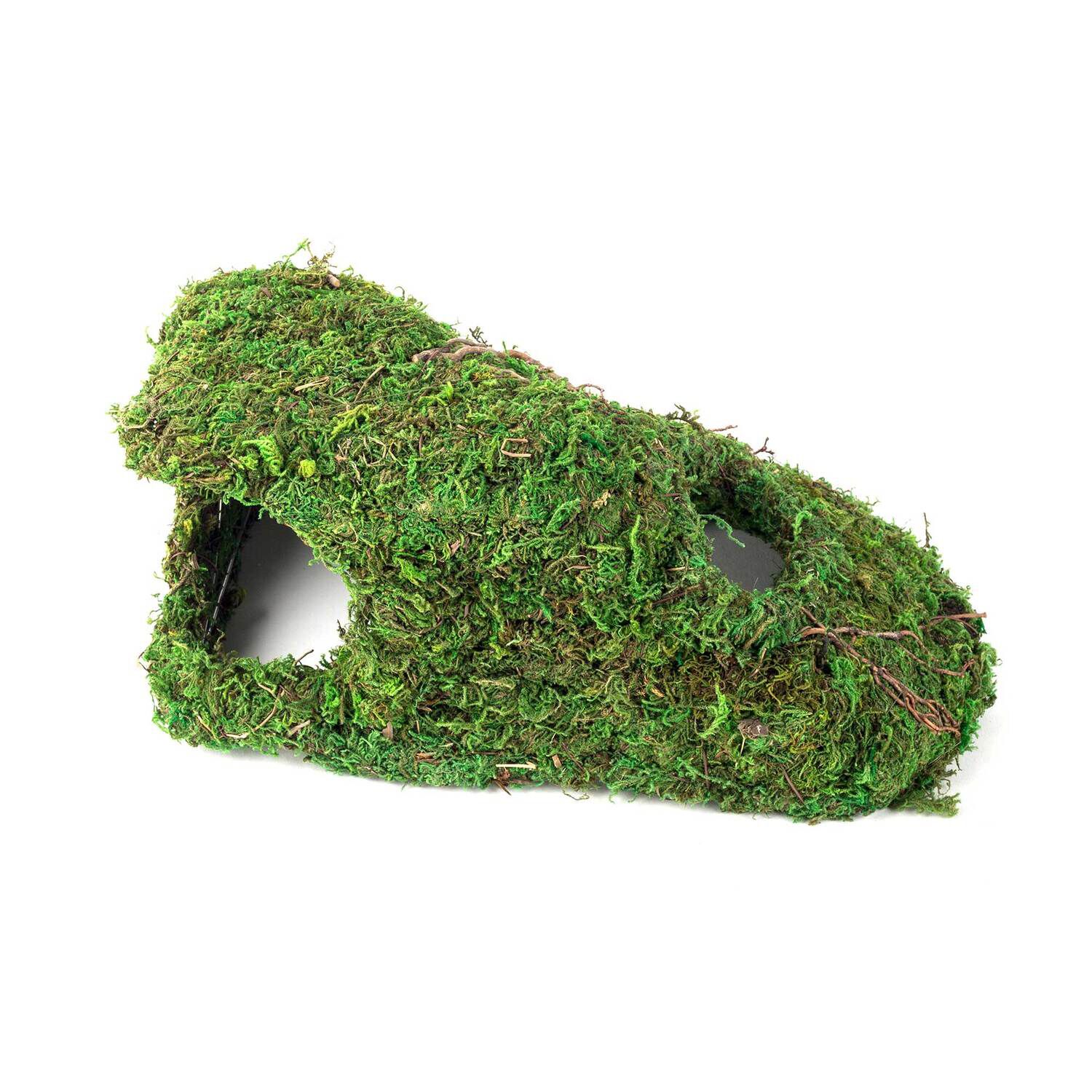 Gal&aacute;pagos Sapa Corner Reptile Hideout, Green, 10 X 5.5In
