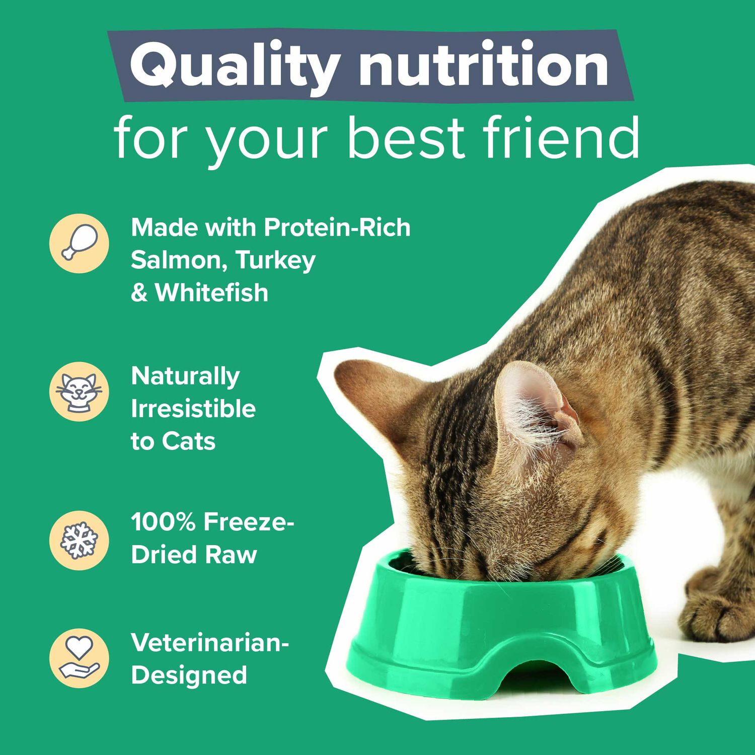Dr. Marty Nature's Feast Essential Wellness Fish & Poultry Formula Freeze-Dried Raw Cat Food, 5.5-Oz Bag