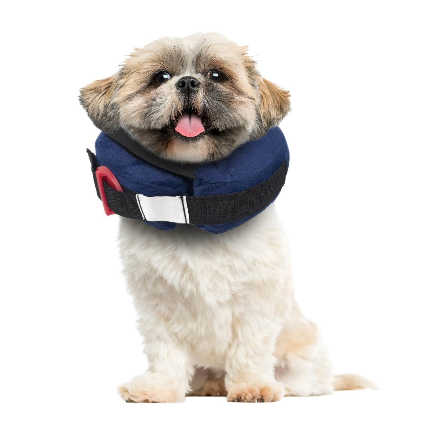 Calm Paws Protective Collar With Dog Calming Disc, Extra Large