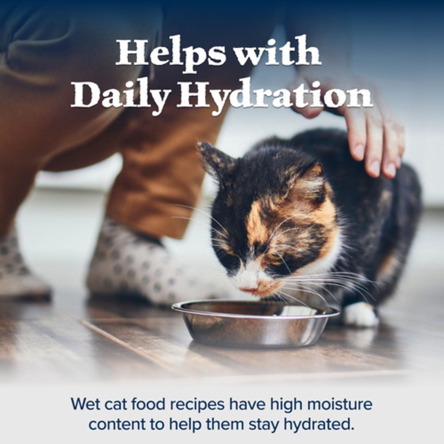 Blue Buffalo Wilderness Wild Delights Adult Wet Cat Food, Chicken & Salmon Meaty Morsels, 3-Oz