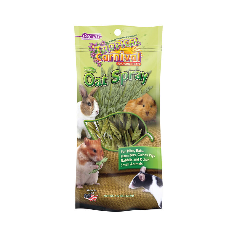 Natural Oat Spray Foraging Small Animal Treat
