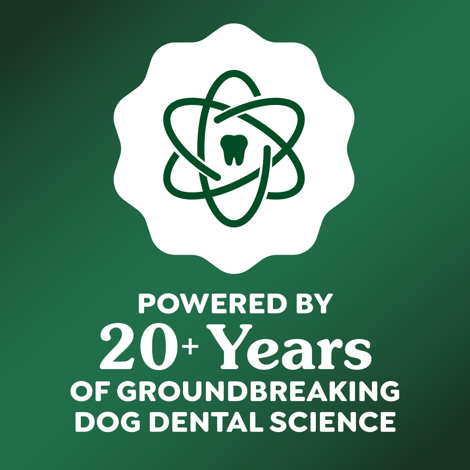 Greenies Deep Clean Original Flavor Small Size Dental Dog Treats, 2.82 Oz, 2 Count